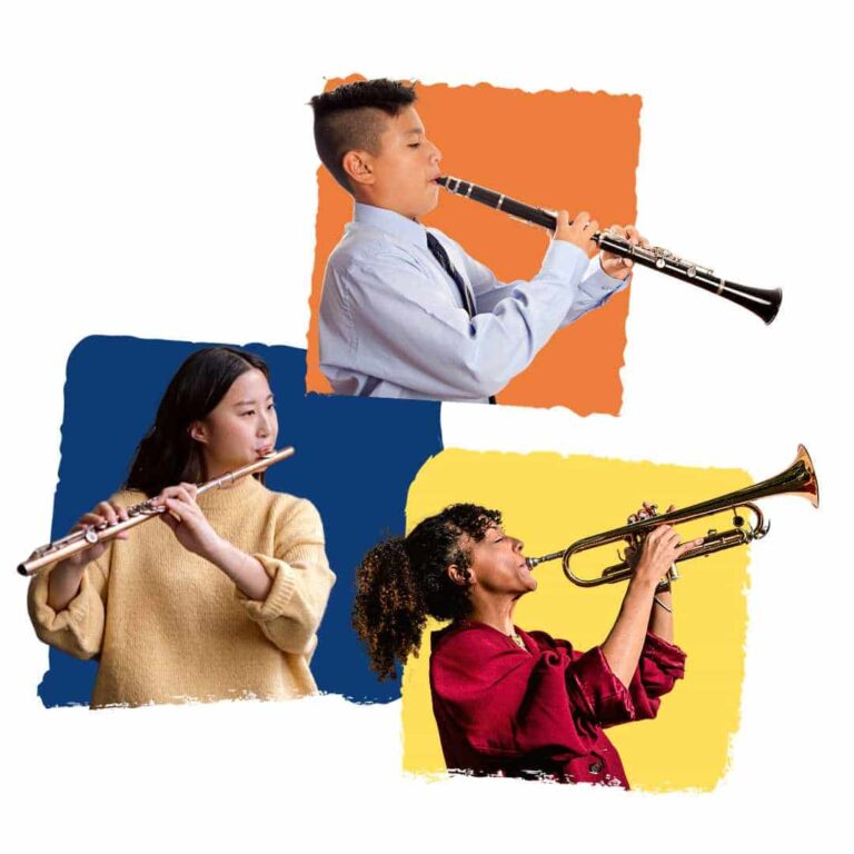 Lesson With You Woodwinds lessons - Clarinet, Flute, Saxophone - Live online music lessons